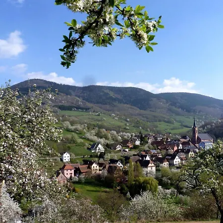Bed & Breakfast La Cerisaie Breitenbach